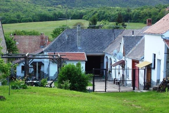 Petra Apartmanok Velem Bagian luar foto