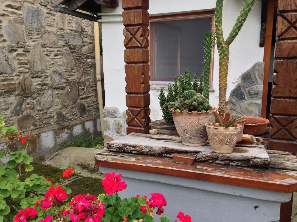 Petra Apartmanok Velem Bagian luar foto